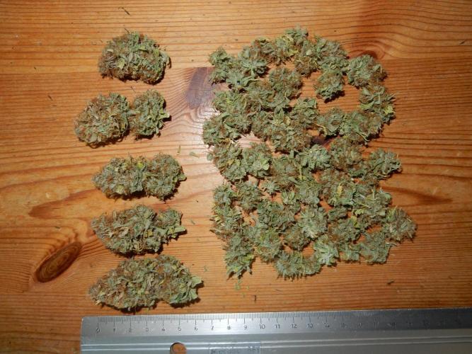 Auto Candy Bubatz XL - I/O. Week 11