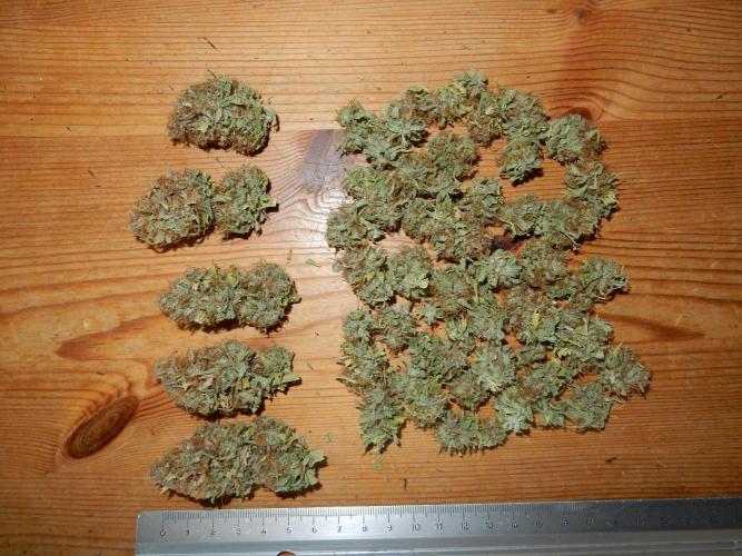 Auto Candy Bubatz XL - I/O. Week 11