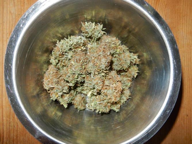 Auto Candy Bubatz XL - I/O. Week 11