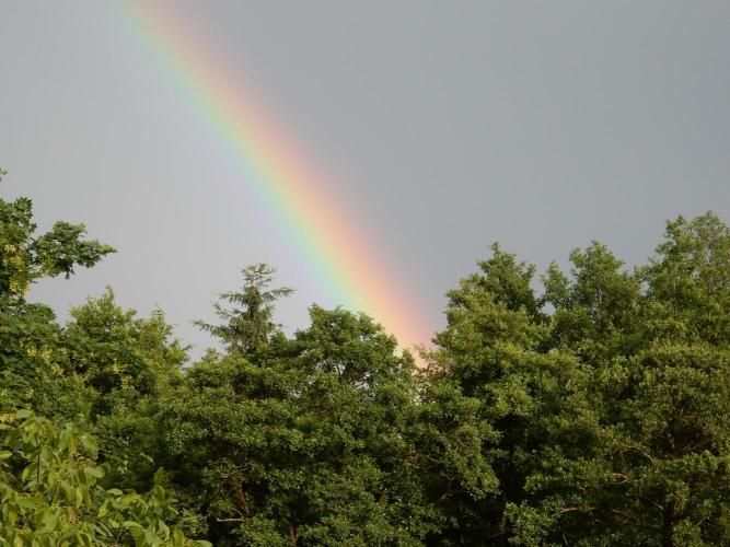 Jimmy went to the rainbow. Week 6
