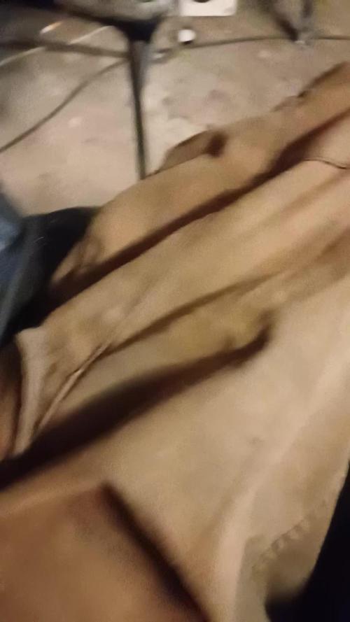 Hyseeds CriticalWhite, outdoor grow