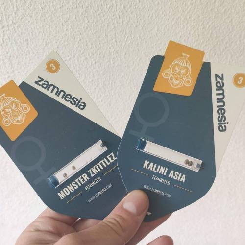 Zamnesia strains!. Week 0