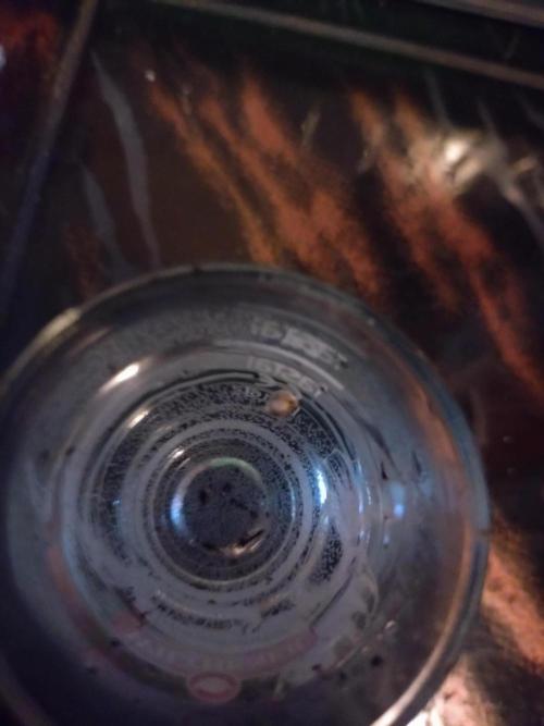 Lemon Mandarin. Week 0 - 12h im Wasser Glas