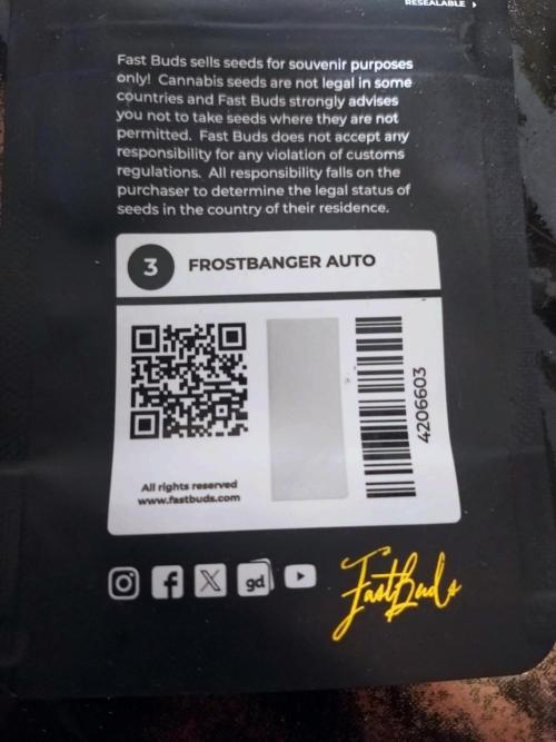 FrostBanger Auto. Week 0