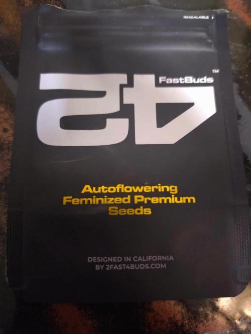 FrostBanger Auto. Week 0