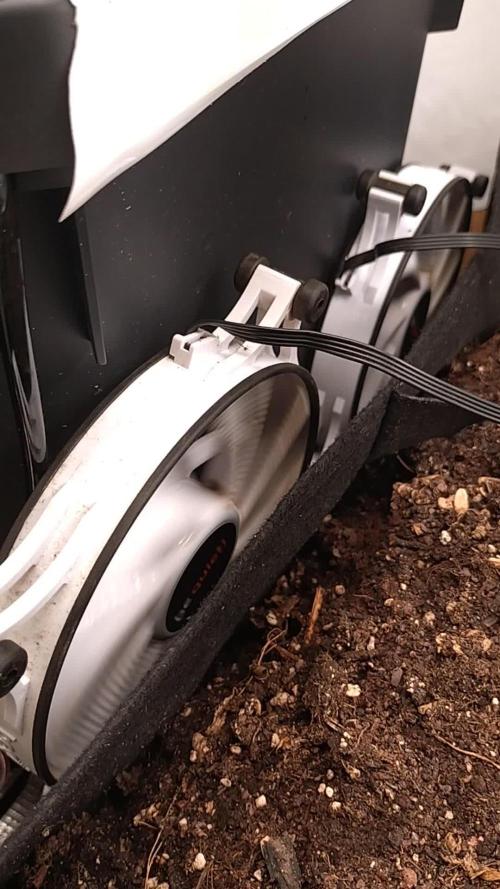 First Dwc Grow Souer Jealousy Auto