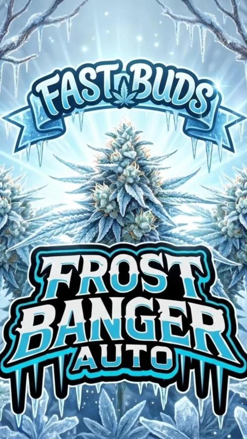 FrostBanger Auto