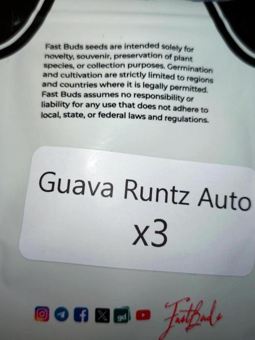 Guava Runtz. Week 0 - K