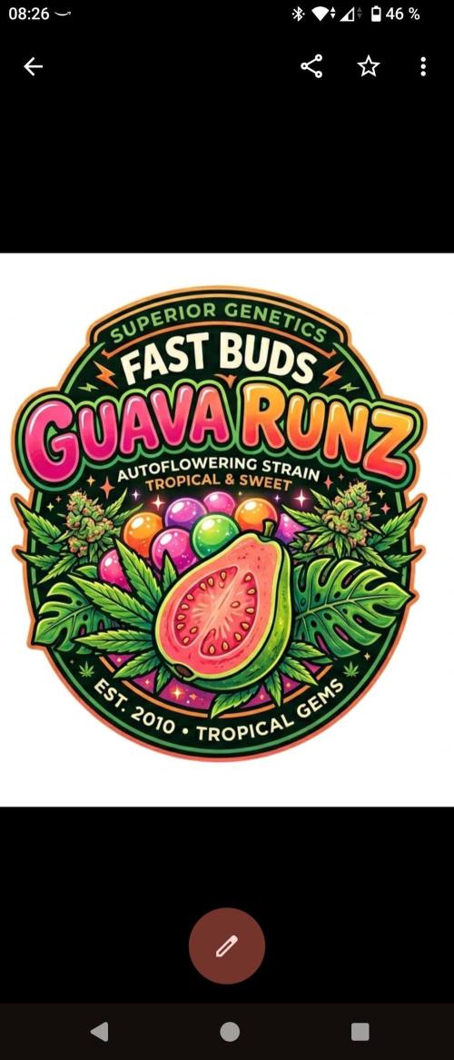 Guava Runtz. Week 3