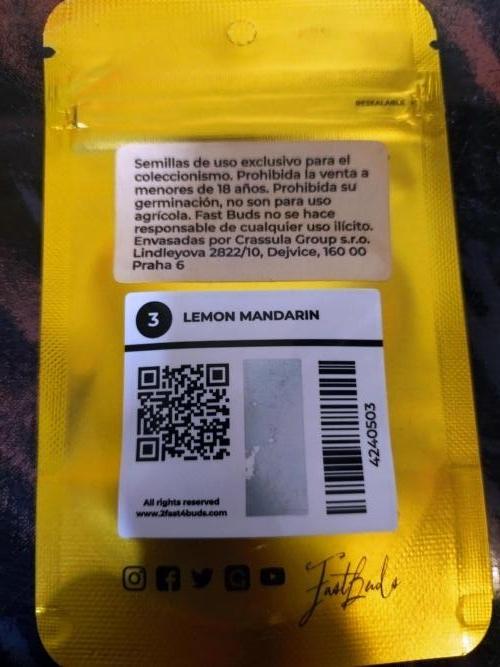 Lemon Mandarin. Week 0