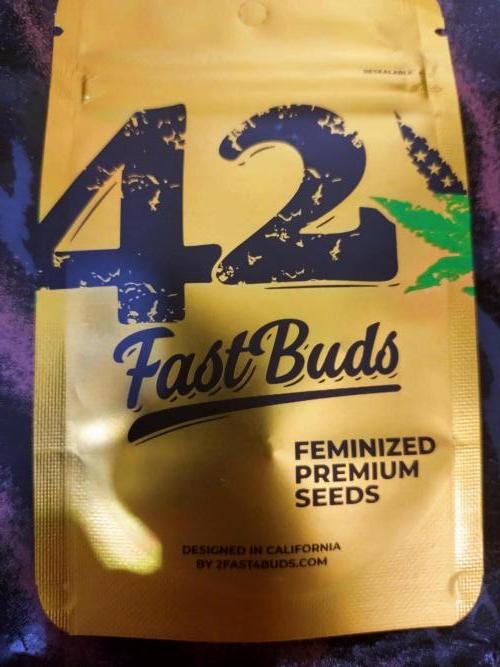 Lemon Mandarin. Week 0