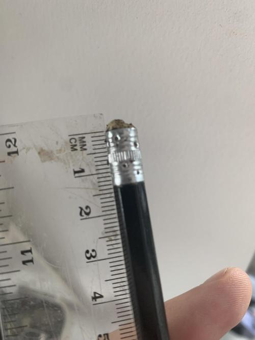 Red Jack Auto (WindowSil Modest/Attempt). Week 0 - its 1.5cm and it give the seedling an easy time to just sprout from the surface!