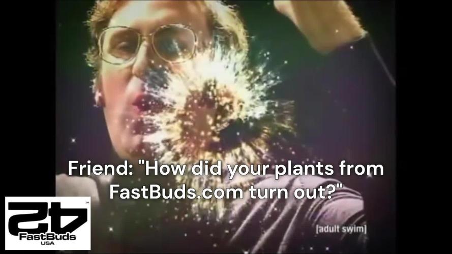 Dizzle's Peanut Butter Cookies