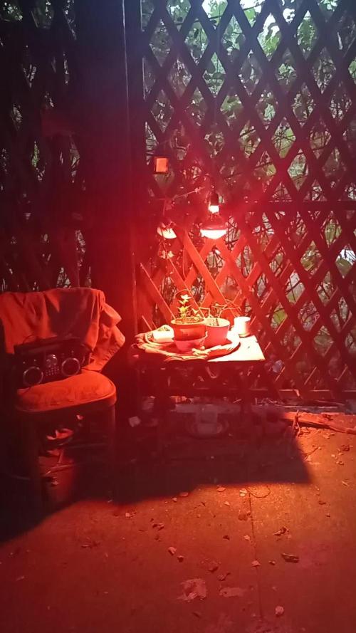 Bob, Claire, Ivory, Sugar