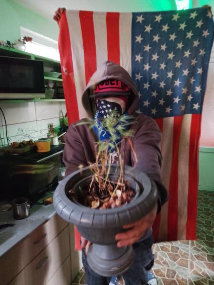 three little birds. Week 6