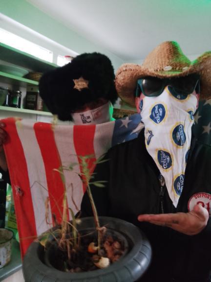 three little birds. Week 6