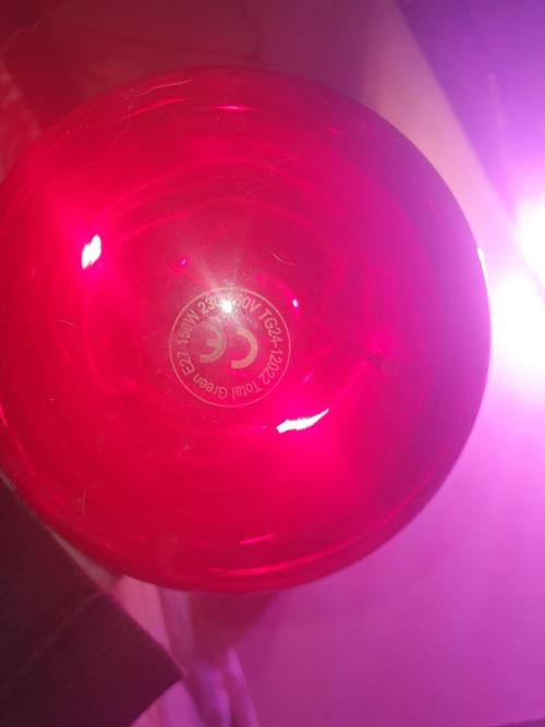 snowzaproduct. Week 4 - total green inferred 