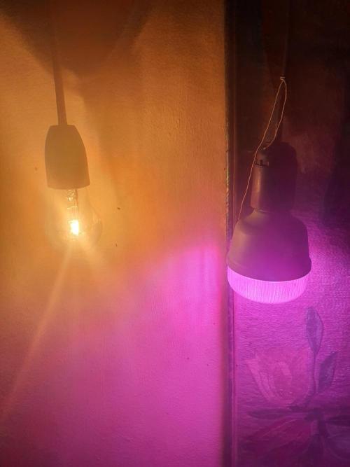 snowzaproduct. Week 4 - uv and irrcarcedencent