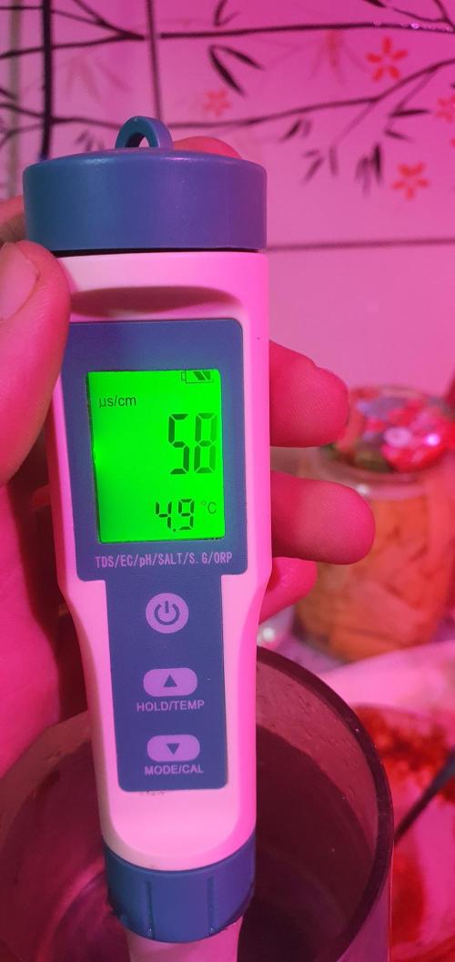 vegananic Veganix 101. Week 2 - electric conductivity
