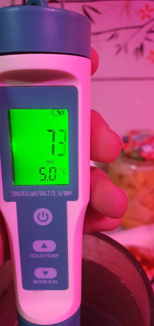 vegananic Veganix 101. Week 2 - oxidation potential