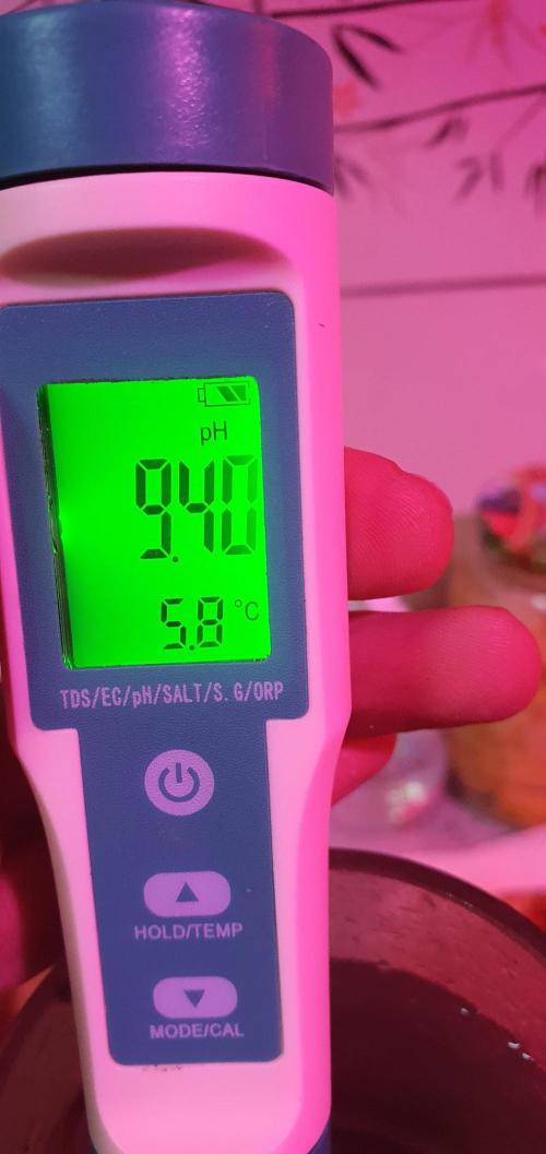 vegananic Veganix 101. Week 2 - ph level