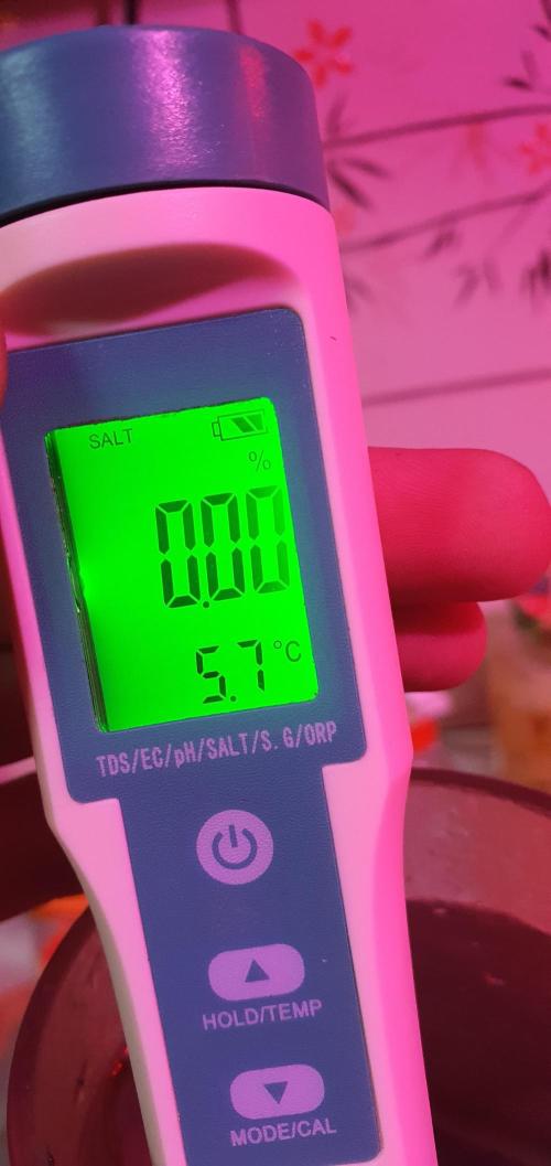 vegananic Veganix 101. Week 2 - soo we dont care about salt?
