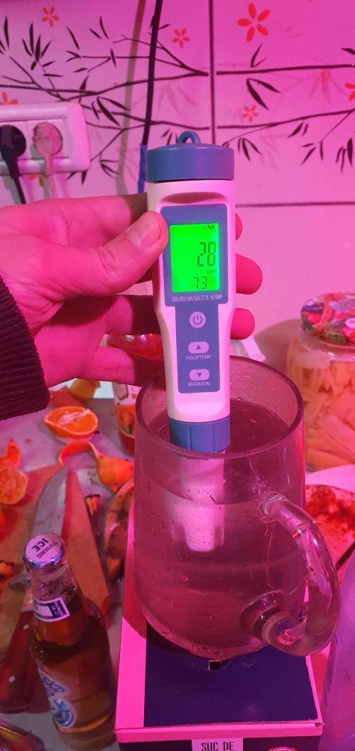 vegananic Veganix 101. Week 2 - ppm