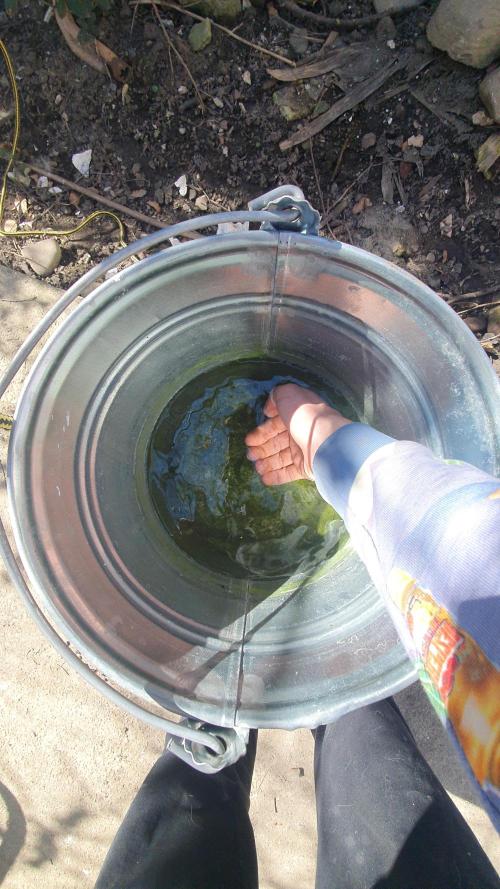 I3V3Y. Week 0 - from da bucket by hand