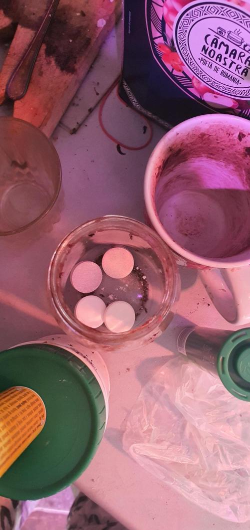 vegananic Veganix 101. Week 3 - pills