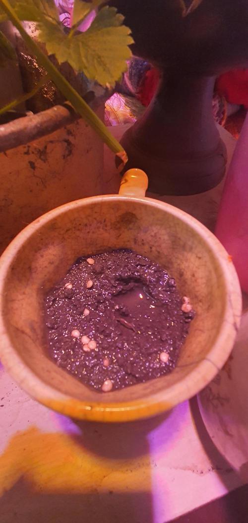 I3V3Y. Week 1 - directly in da mud