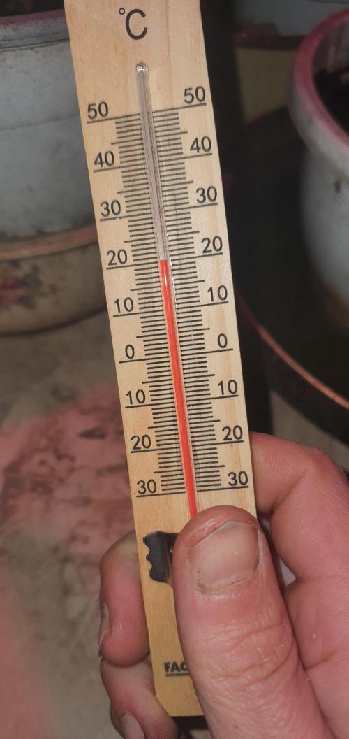 I3V3Y. Week 2 - still 20celcius