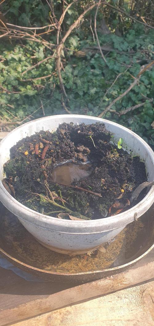 I3V3Y. Week 2 - Da new planter