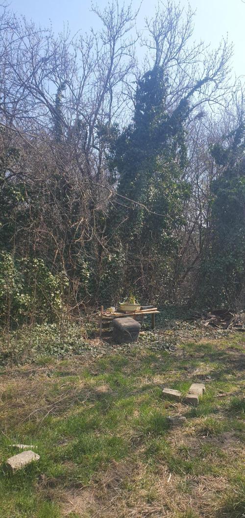 I3V3Y. Week 2 - our one day outside !