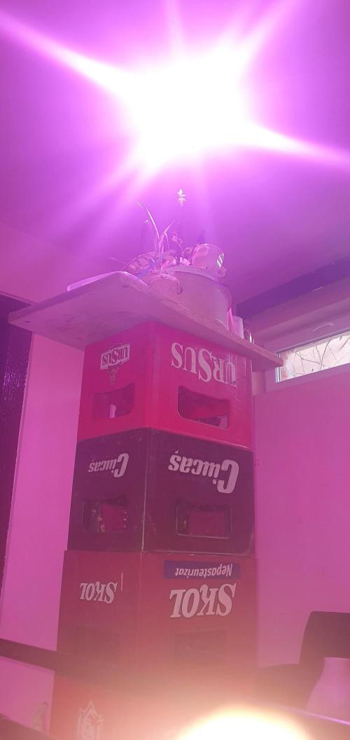 I3V3Y. Week 2 - Yes, beer crates