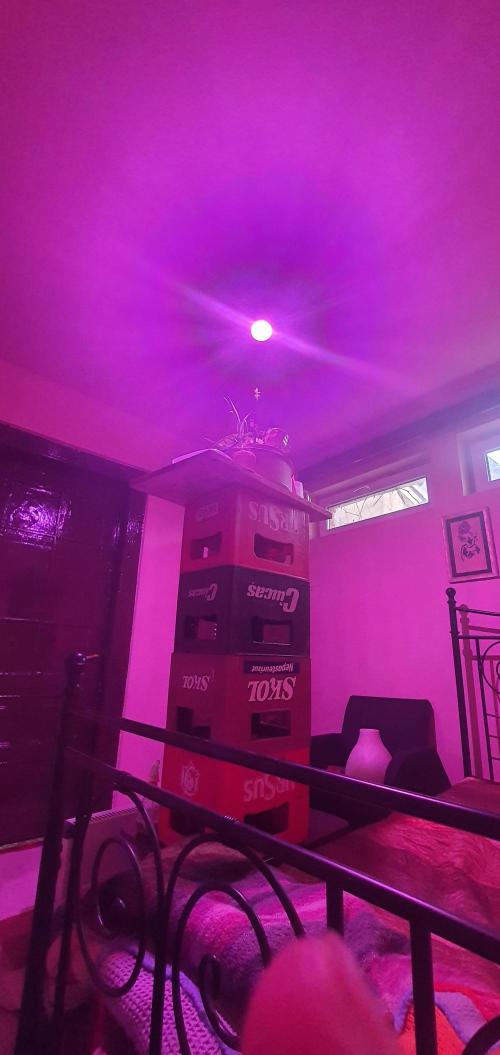 I3V3Y. Week 2 - Better temperature and easier to just change lights 