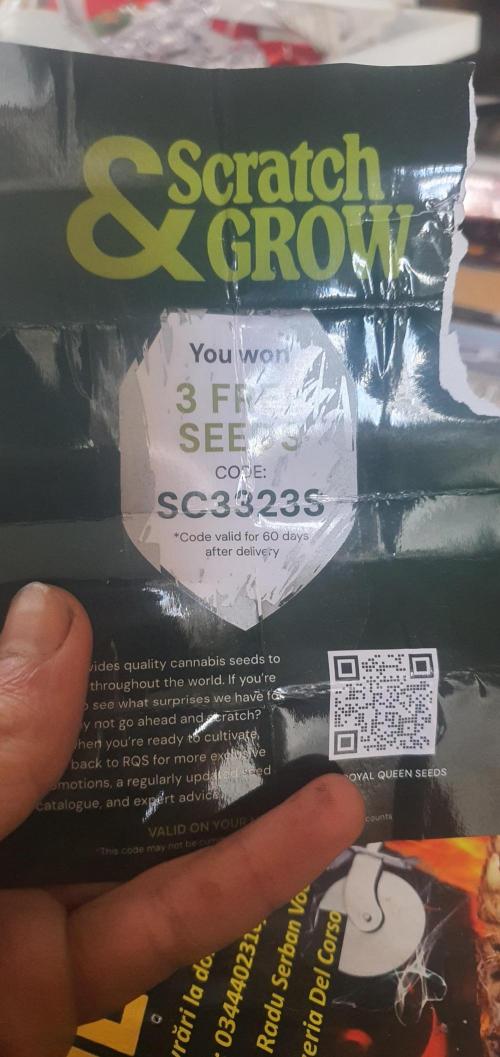 I3V3Y. Week 4 - 💠 3 Free Seeds 💠