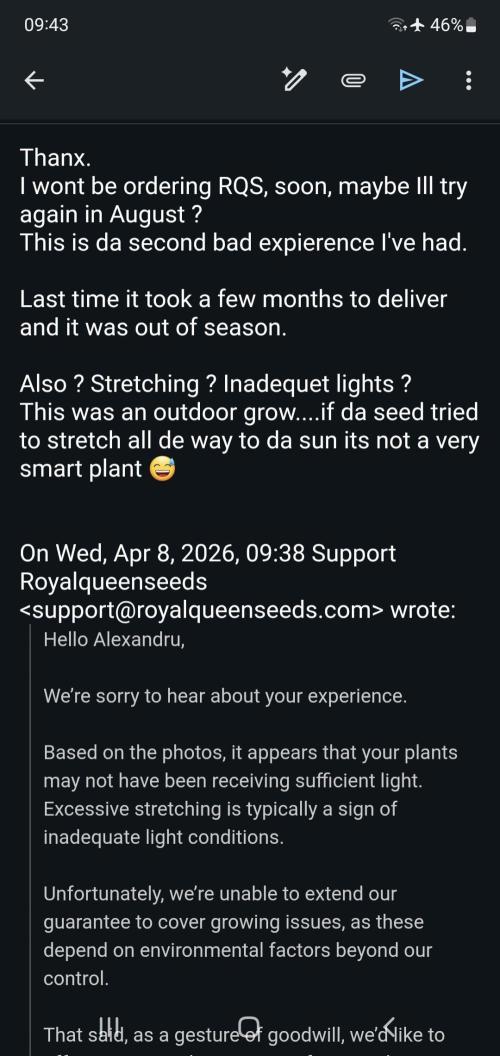 I3V3Y. Week 4 - customer support
