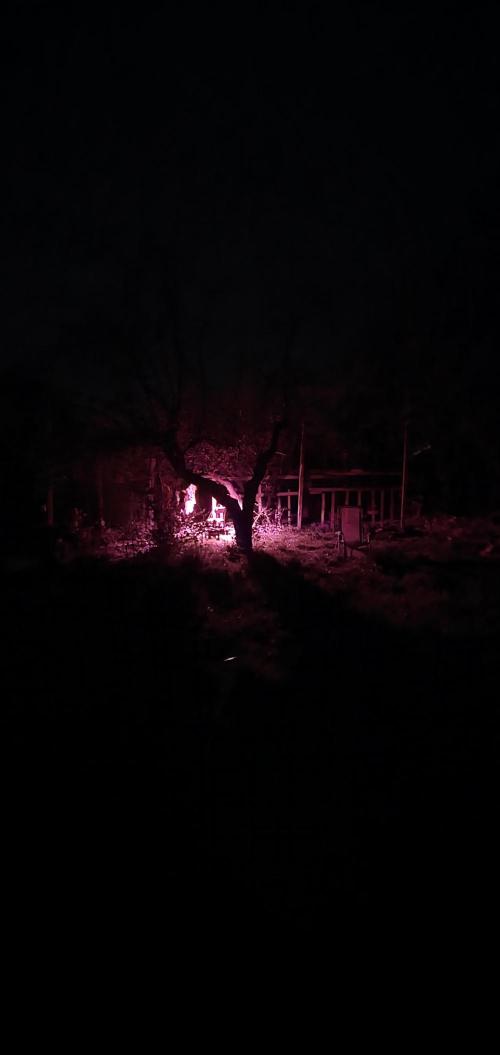Wlkol 2 Grden Adam. Week 15 - night light UV treatment + warmth