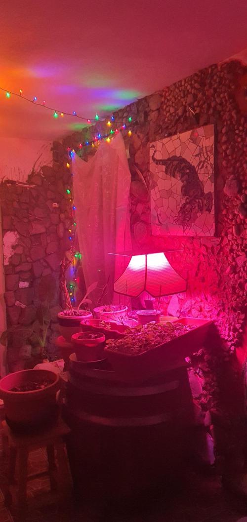 HalloWeen Special. Week 1 - at night dey get special treatment