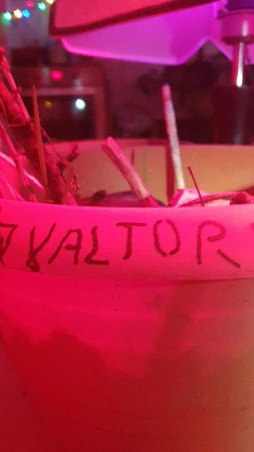 Valtor