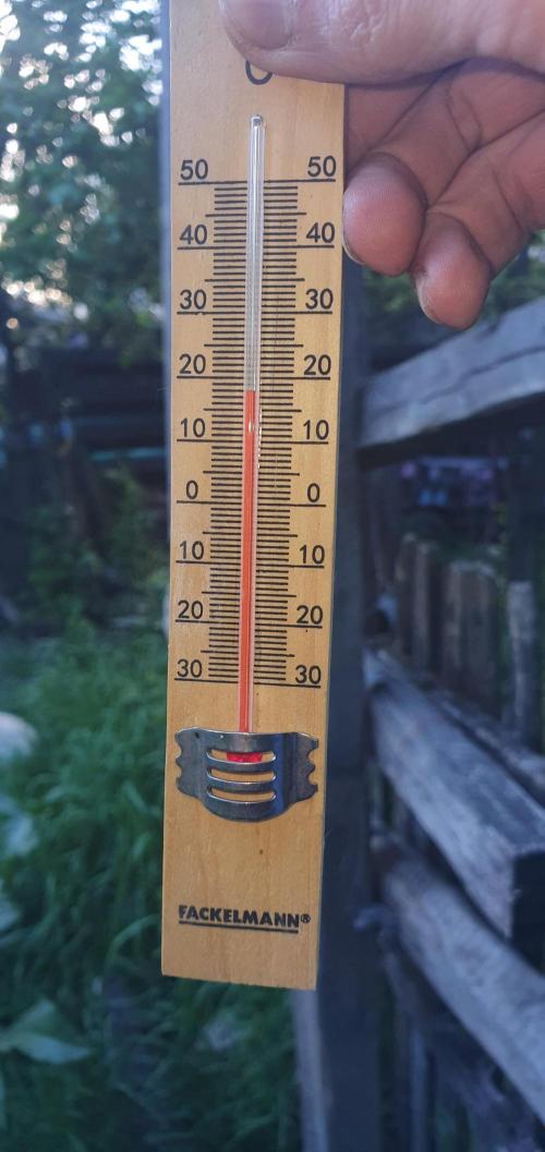AlX VLD. Week 2 - temperatures have gone up'