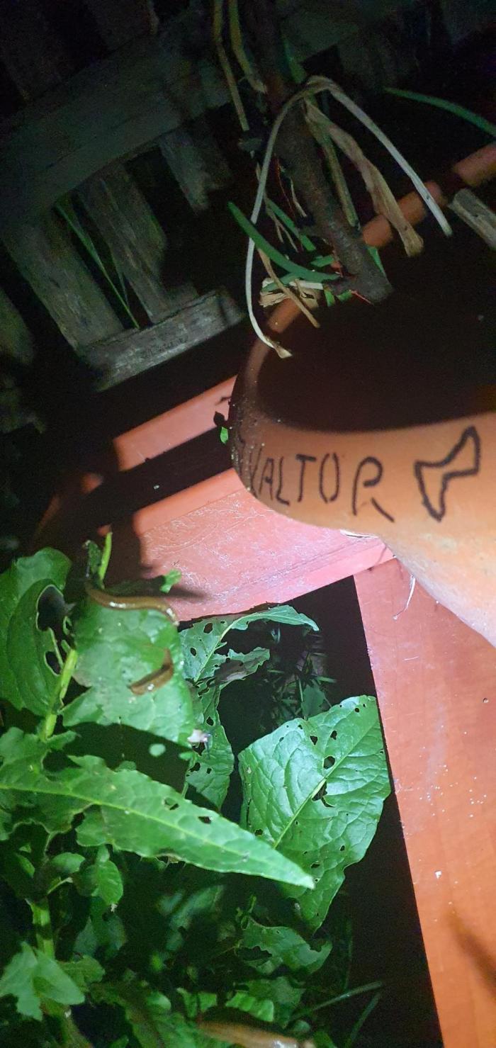 Eleonor. Week 1