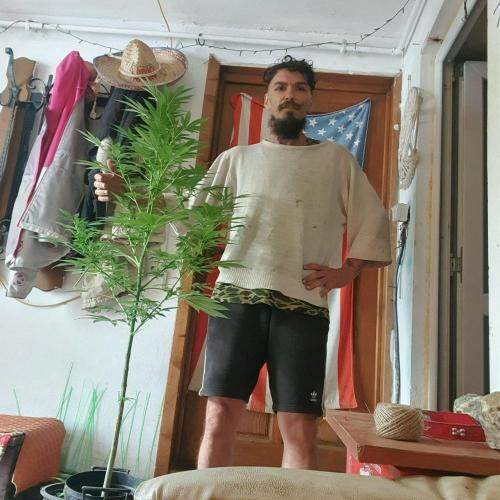 Ramona. Week 16 - almost tall enough to take out on a dat !