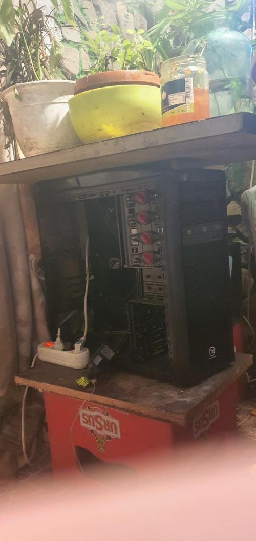 Alice & Mysty. Week 10 - Have u ever grown in a pc caSe ?