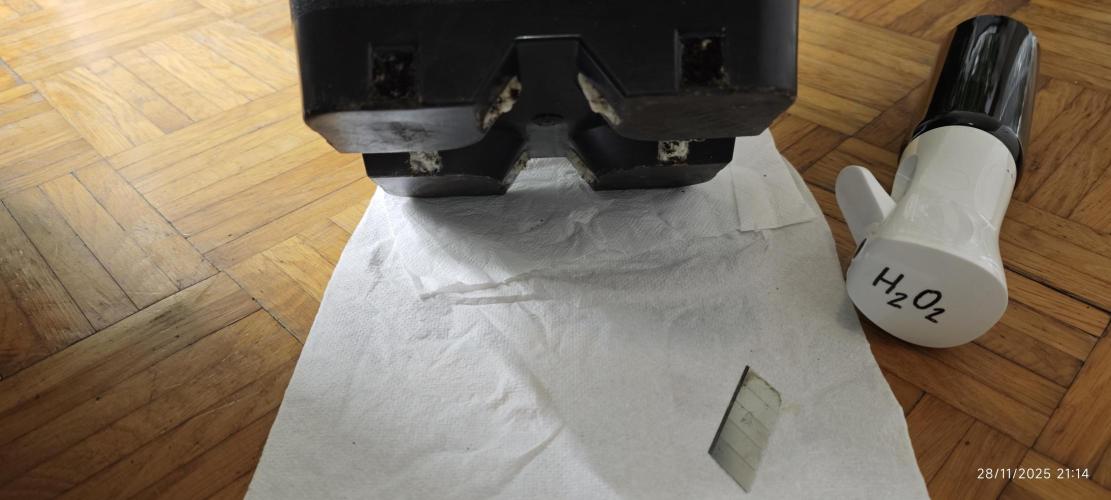 MOBY DICK - Barney's farm. Week 9 - Cleaning mold