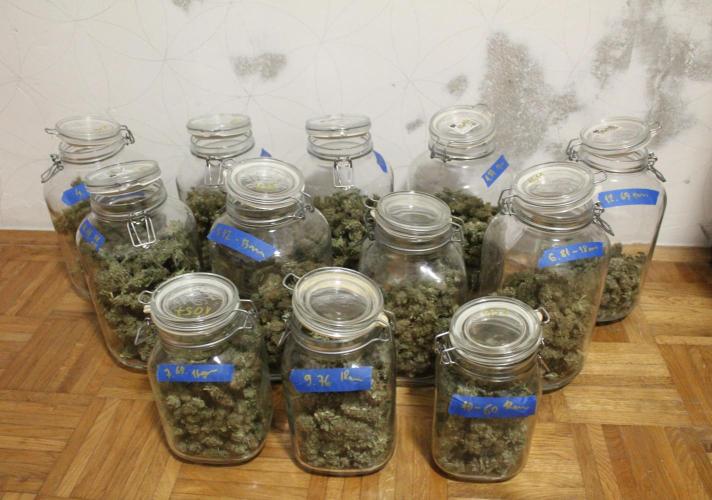 MOBY DICK - Barney's farm. Week 16