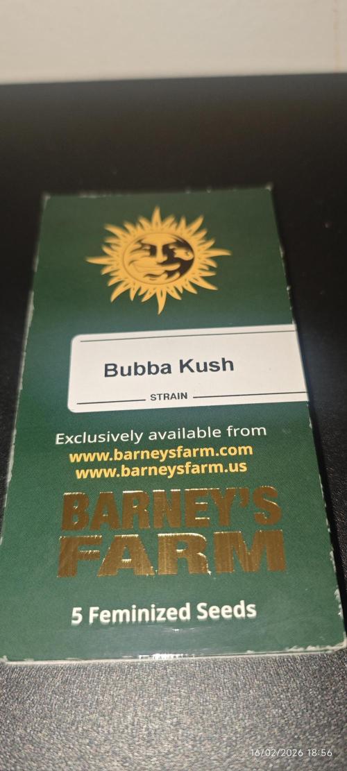 BUBBA KUSH - Barney's Farm. Week 0