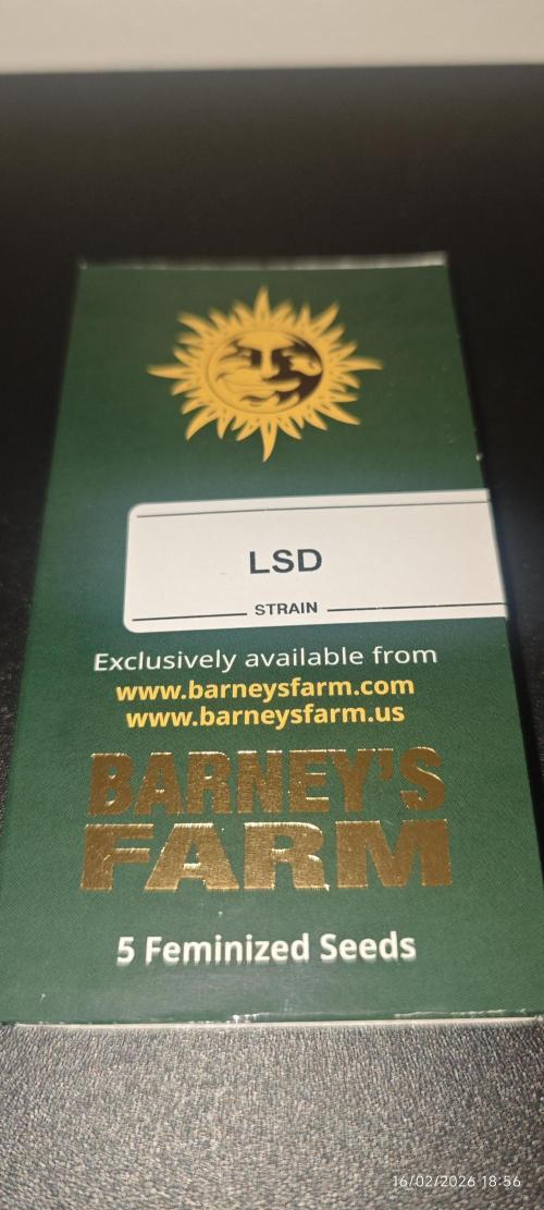 LSD - Barney's Farm. Week 0