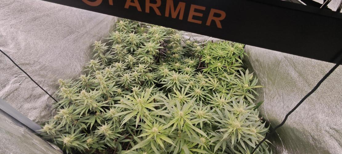 KING LOUIS GARCIA goes to Morocco :). Week 9