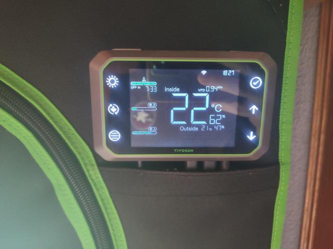 DWC - Papaya Stank. Week 11 - BT 20